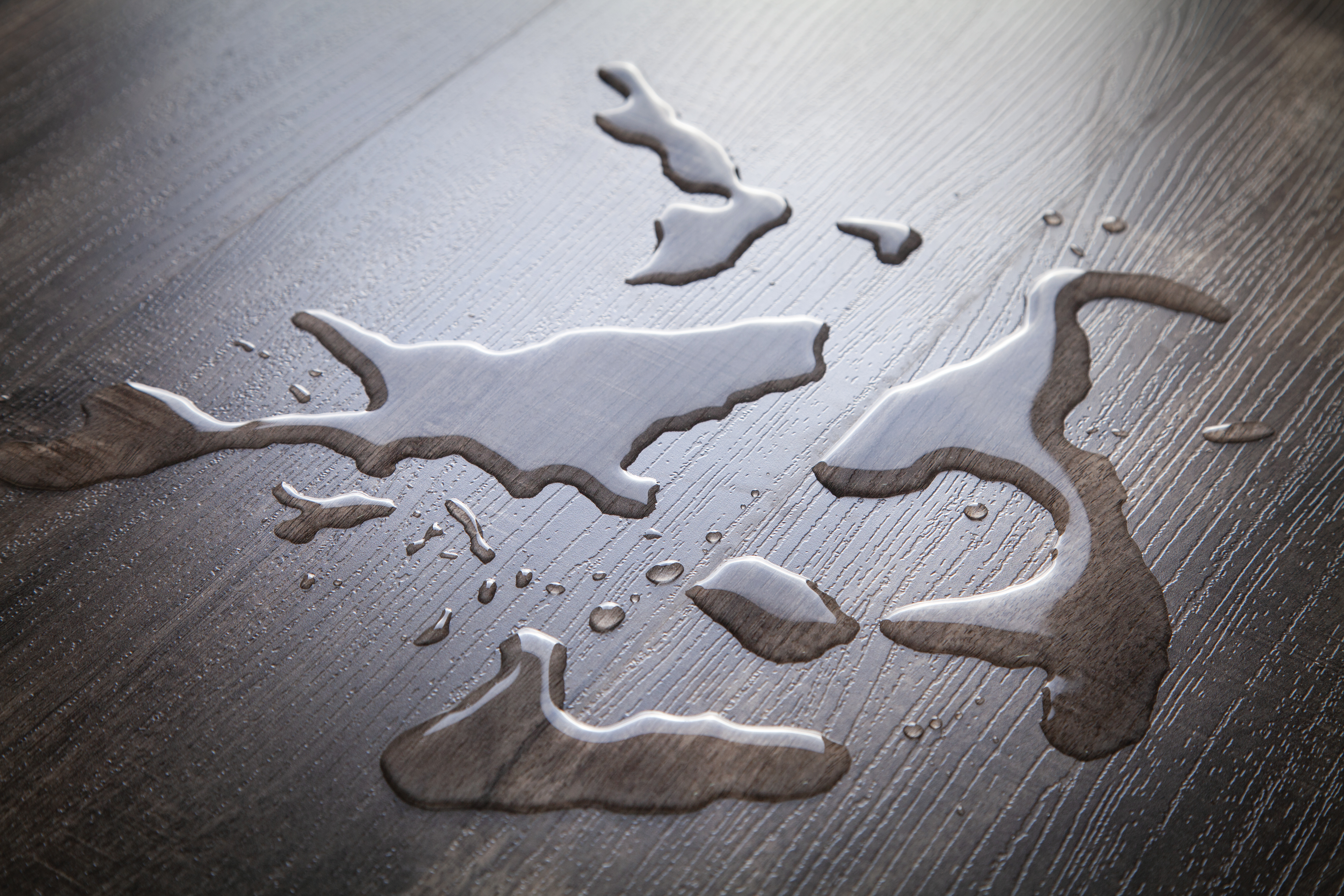 Hardwood Restoration for Water Damage