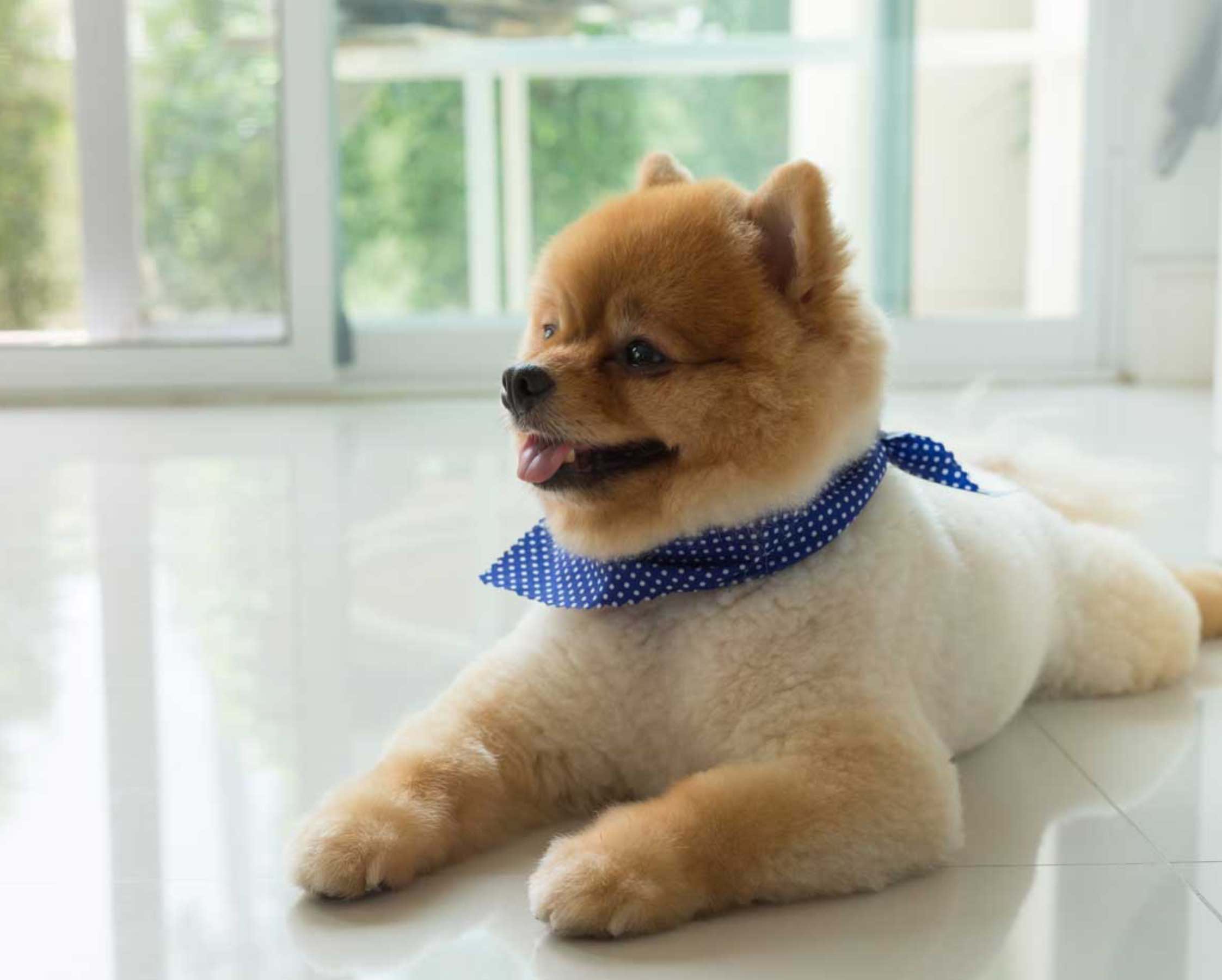 Call Footprints Floors for tile replacement in your local area.